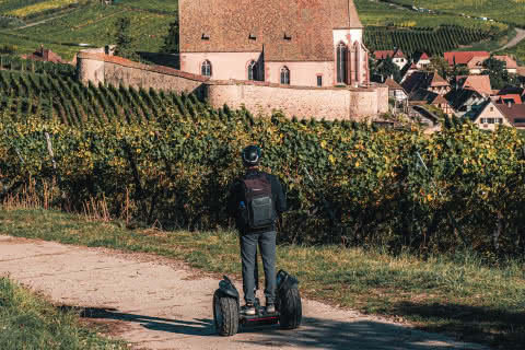 Segway - Route des Vins d'Alsace